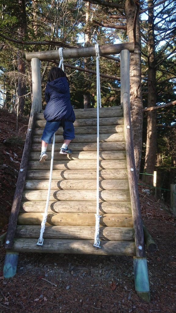 宮城県女川町にあるフィールドアスレチックを紹介 良く整備された楽しい場所です うさけろのゆるふわライフ